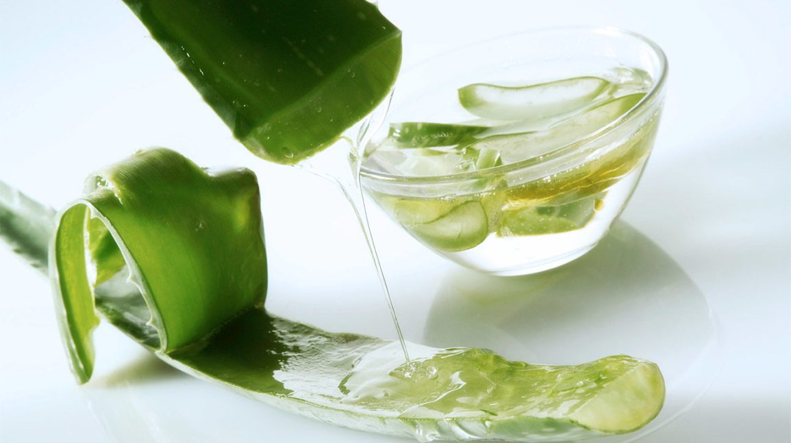 Aloe Vera – Wirkung auf Haare und Anwendung